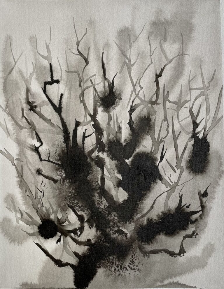 Ink painting of a thorny bush, organic detail from an imaginary forest.