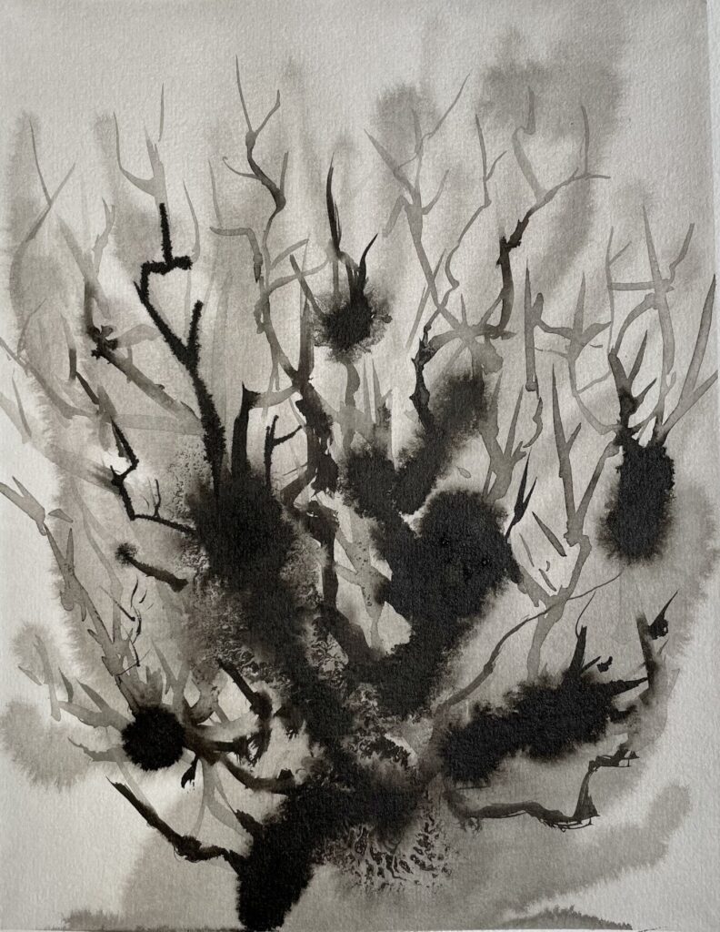 Ink painting of a thorny bush, organic detail from an imaginary forest.