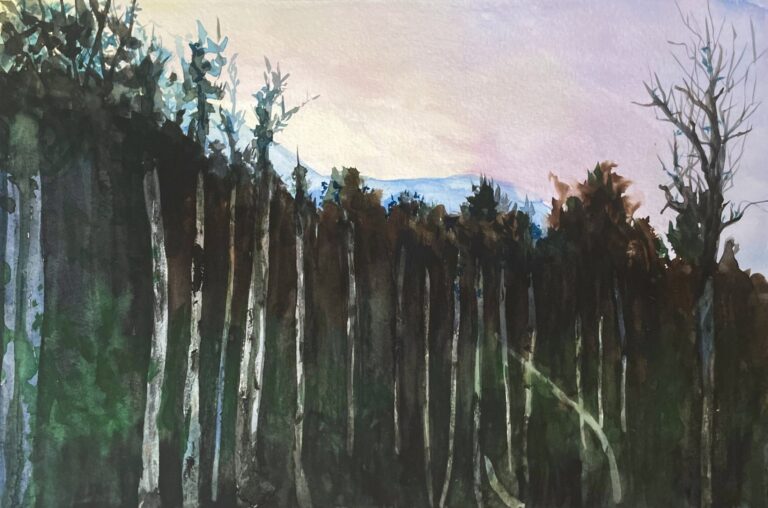 Contemporary watercolour depicting the edge of a forest, with vertical tree trunks and shifting light creating a quiet atmospheric landscape.