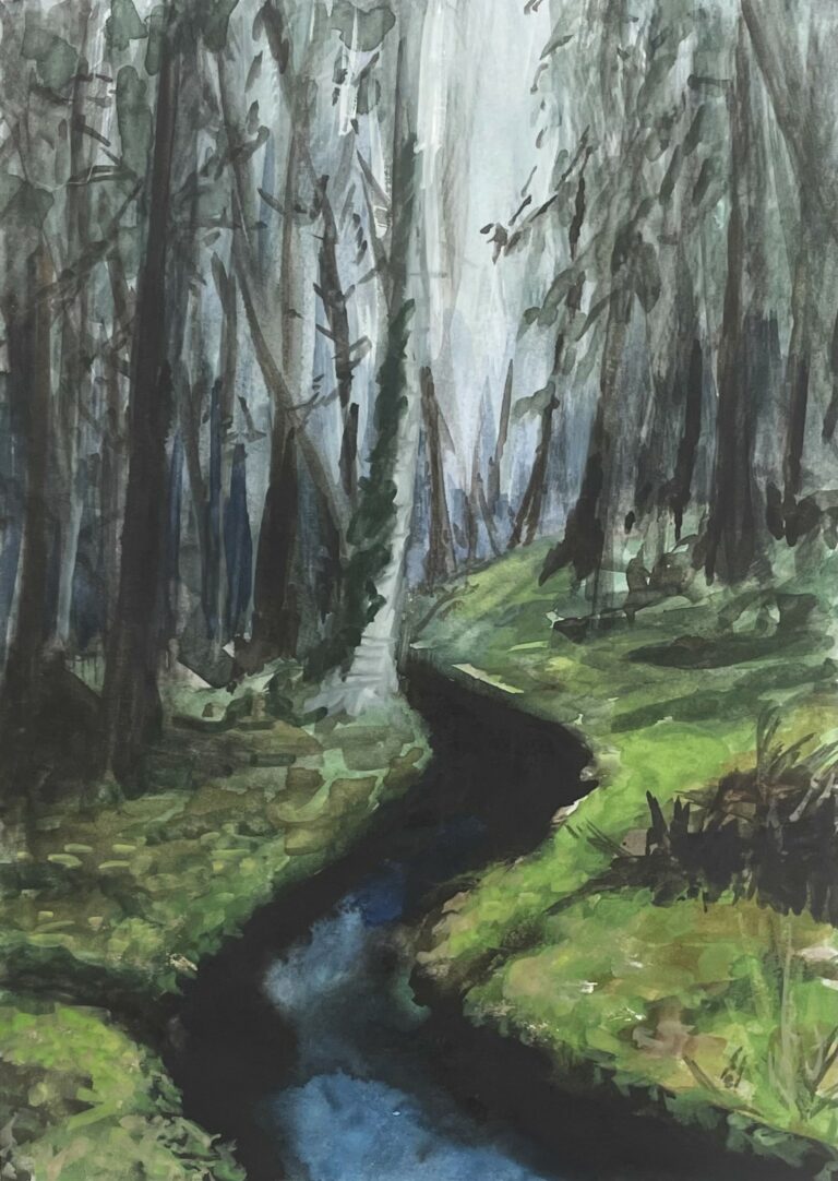 Dark forest watercolour painting depicting a narrow stream winding through dense trees and deep green undergrowth.