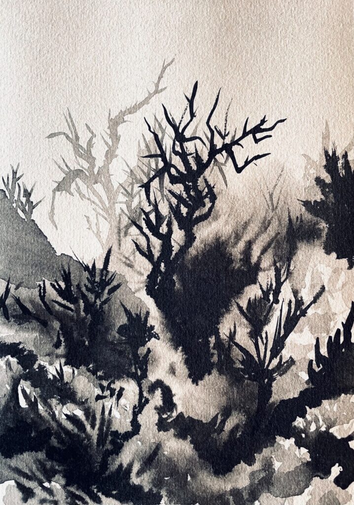Indian ink painting depicting a fragmented imaginary forest with rocky and vegetal forms.