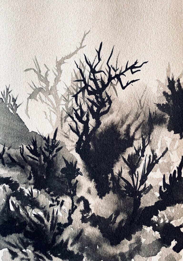 Indian ink painting depicting a fragmented imaginary forest with rocky and vegetal forms.