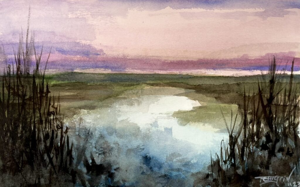 Watercolour painting of reeds and wetlands, soft light reflected on water.