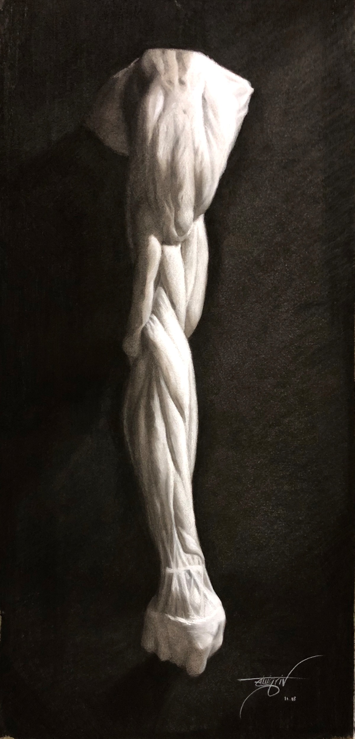 Charcoal anatomical study of a human arm.